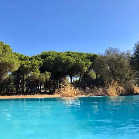 Micielo - Baumhaeuser Vejer de la Frontera Buitenkant foto