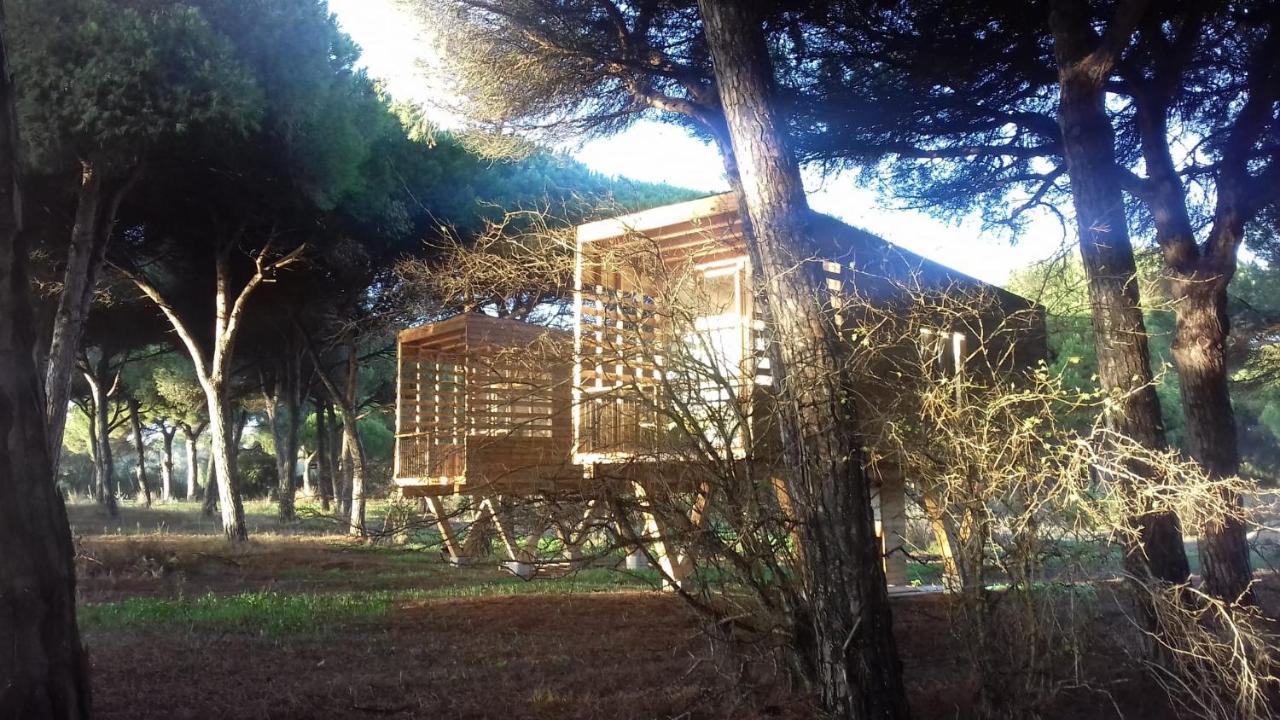 Micielo - Baumhaeuser Vejer de la Frontera Buitenkant foto