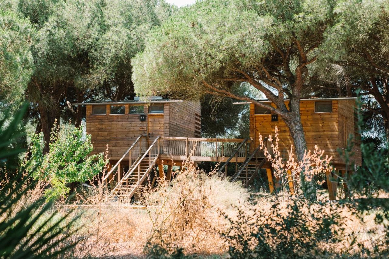 Micielo - Baumhaeuser Vejer de la Frontera Buitenkant foto